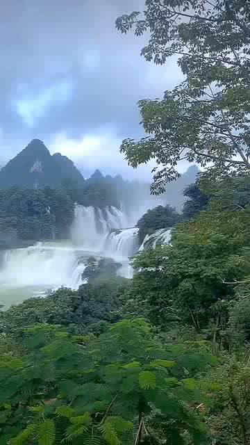 buthedoesn'tlikesunnyweather一般疑问句？游戏画面